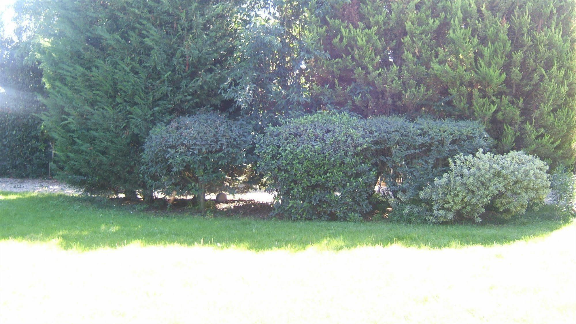Locanda Canareggio San Biagio di Callalta Buitenkant foto